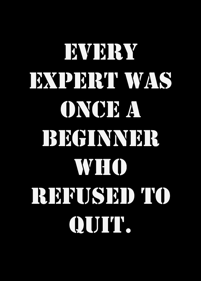Inspirational Quote: Expert and Beginner