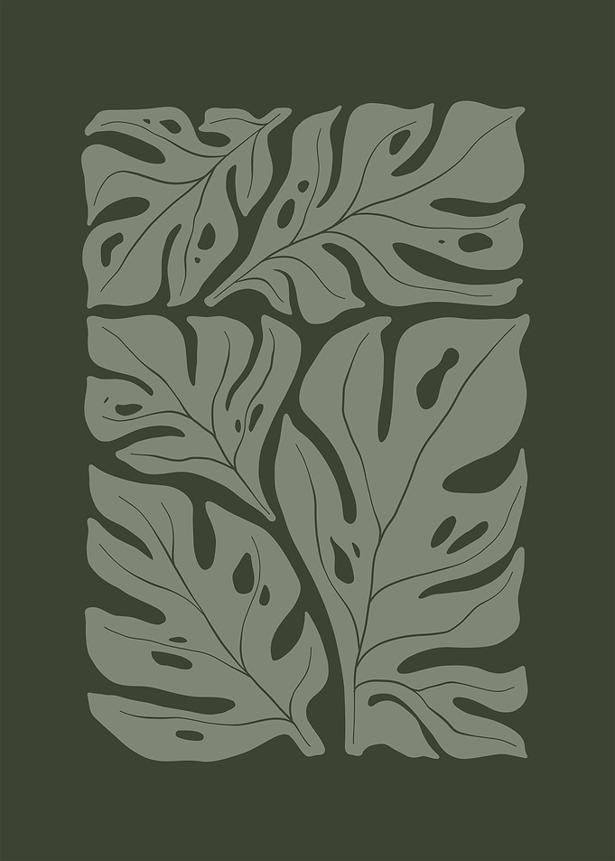 Monstera Leaves