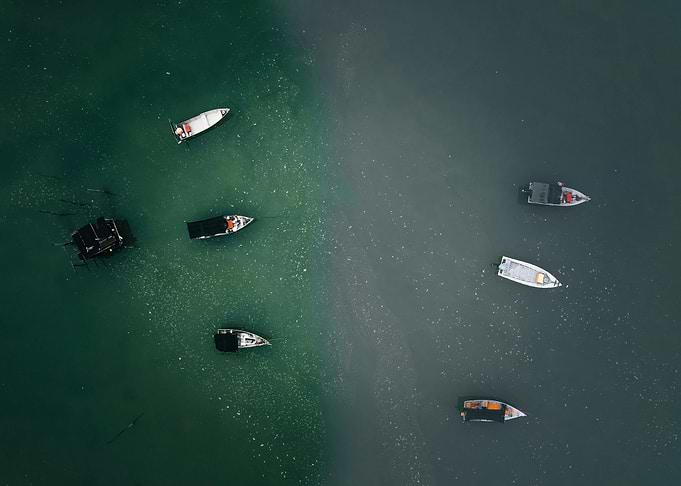 Aerial view of boats on water