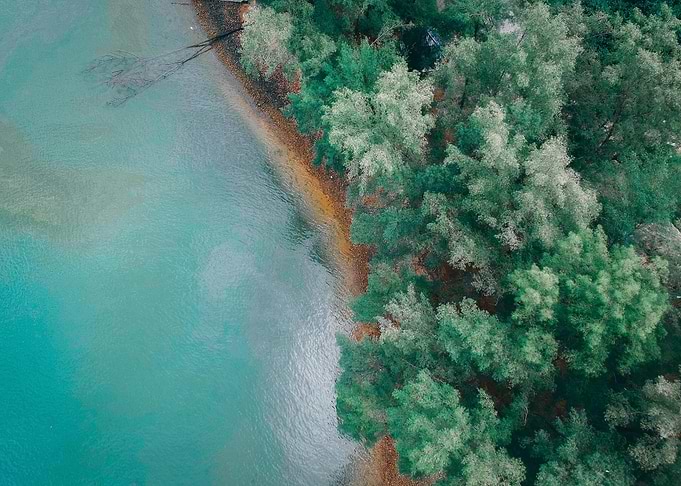 Aerial View of Lake and Forest