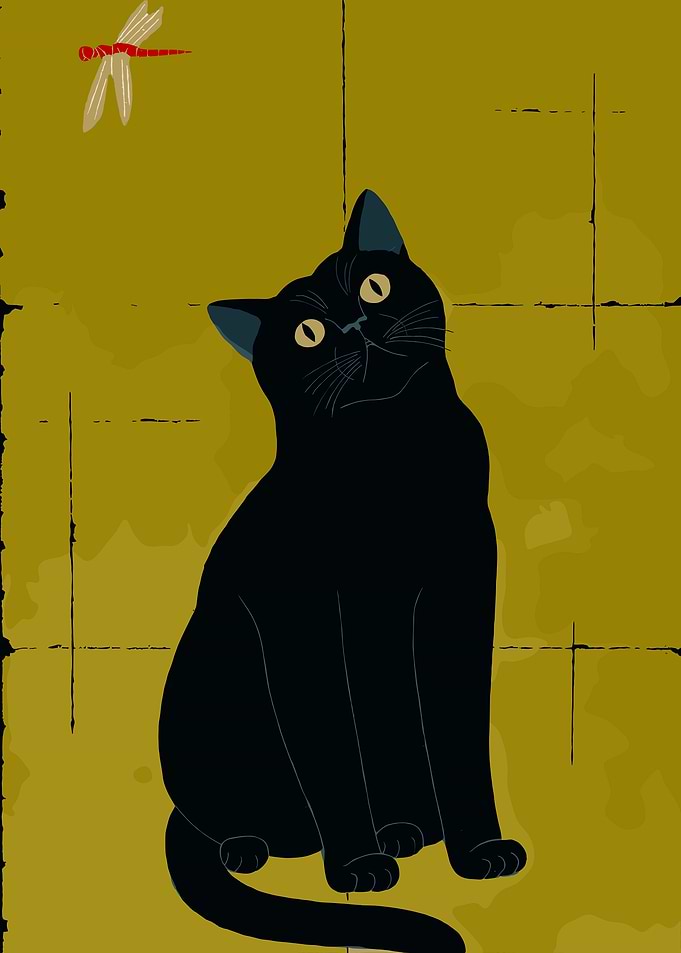 Black Cat and Dragonfly Illustration