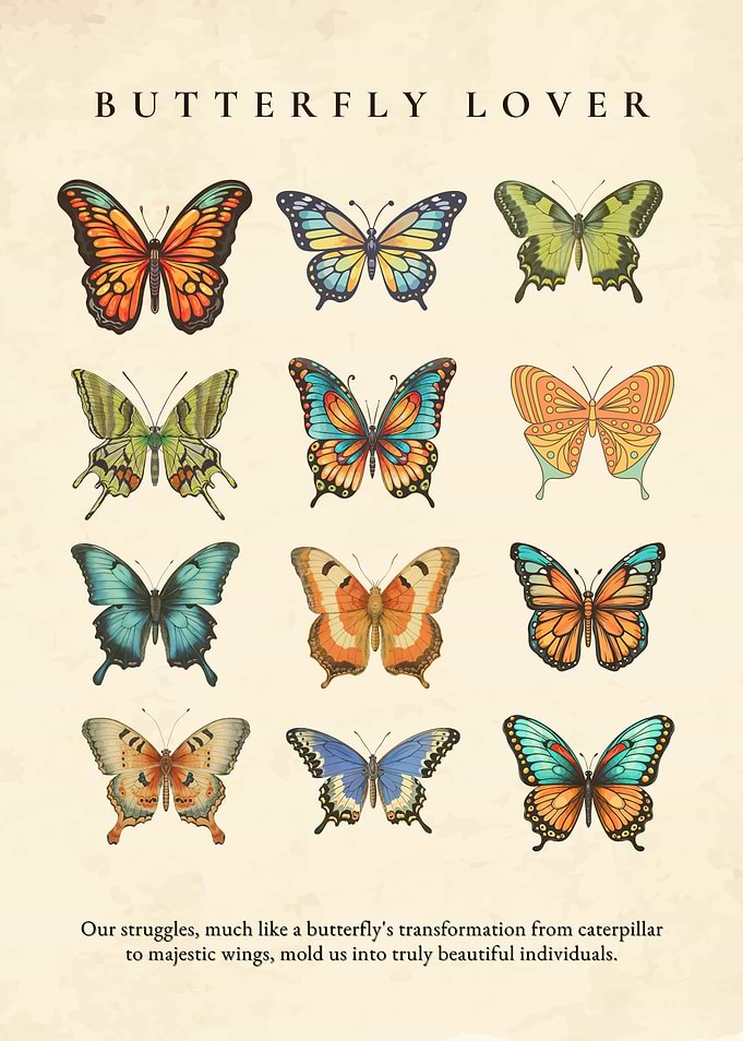 Butterfly Lover Illustration