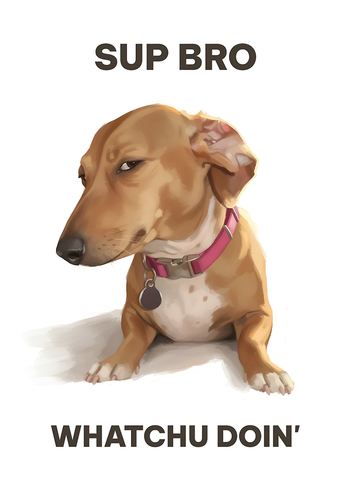 Skeptical Dog