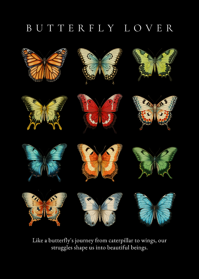 Butterfly Lover: Colorful Butterfly Collection