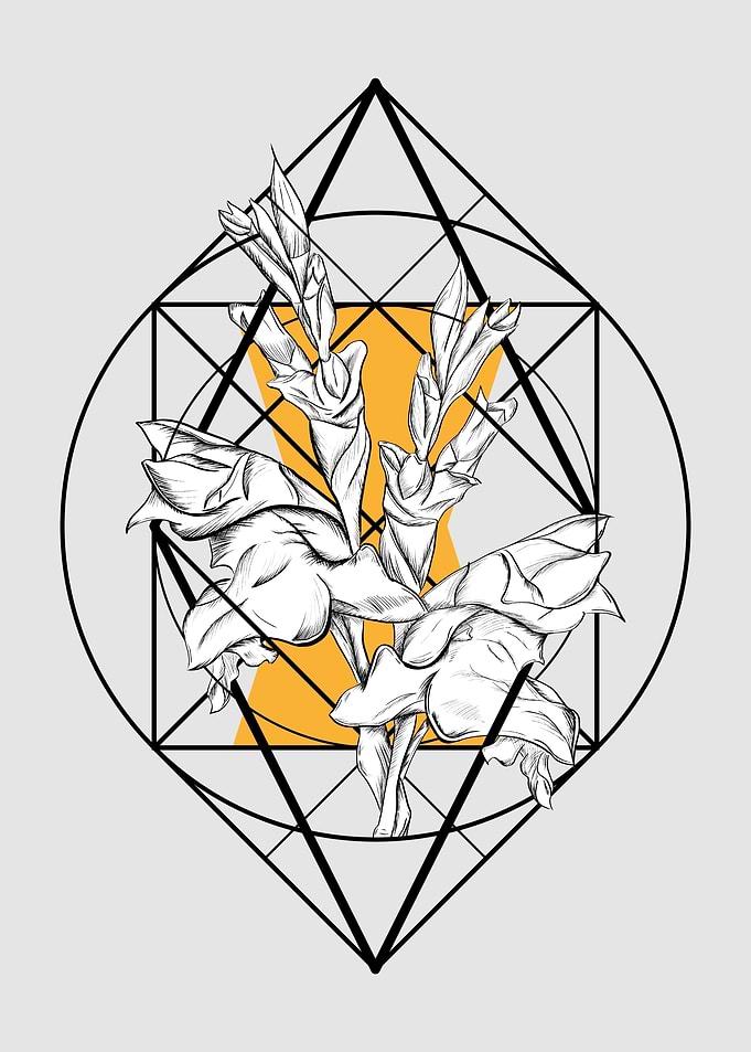 Gladioli geometric space