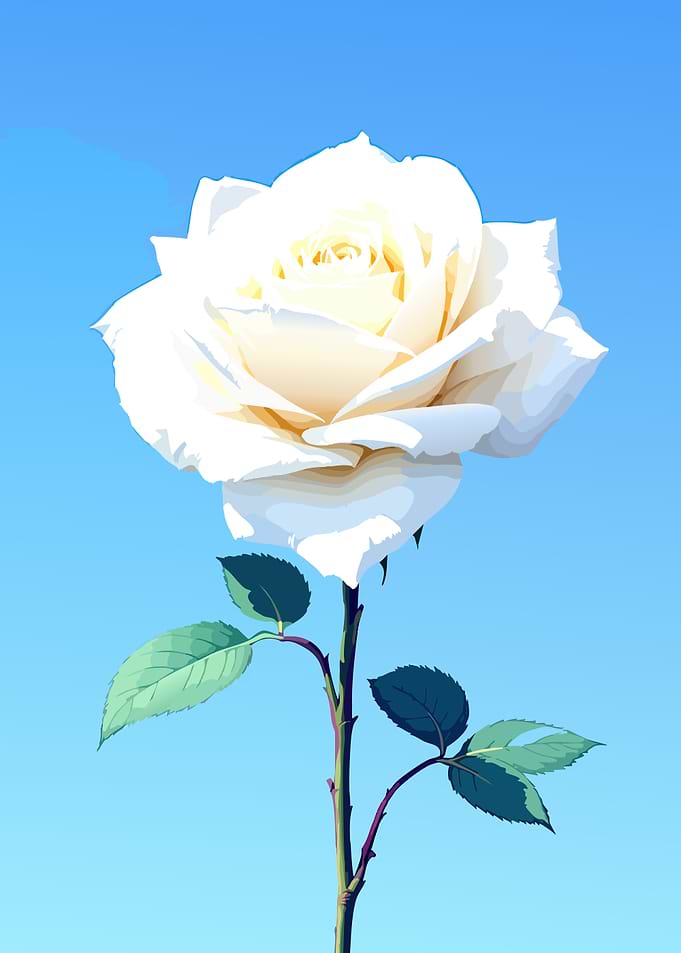 White Rose Against Blue Sky