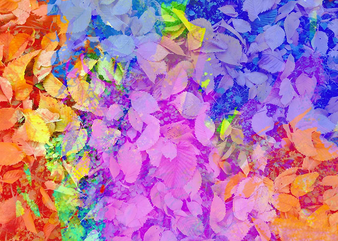 Colorful Autumn Leaves Abstract