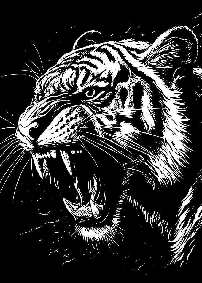 Tiger Roar Black and White Illustration