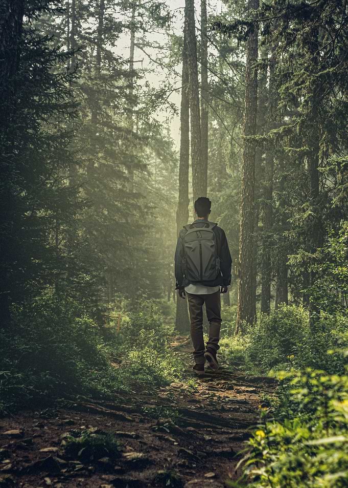 Man hiking through a misty forest