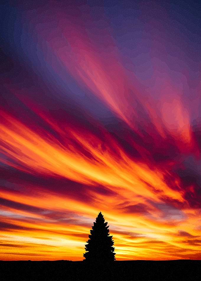 Silhouette Tree Against Fiery Sunset Sky