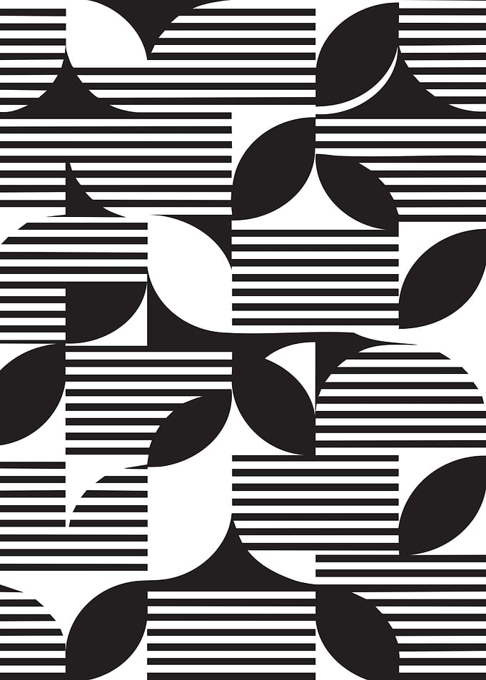 Black and White Geometric Pattern