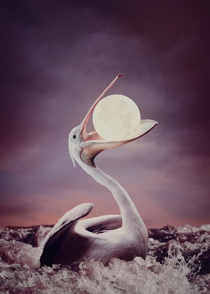 A Lunar Luncheon