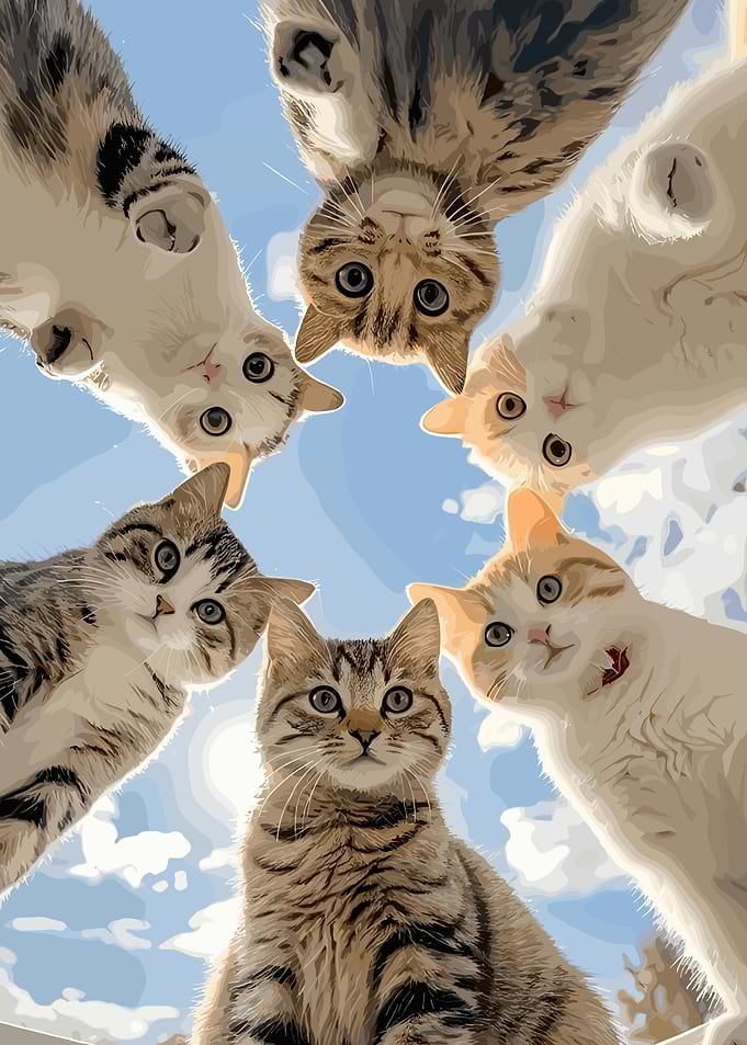 Circle of Curious Cats