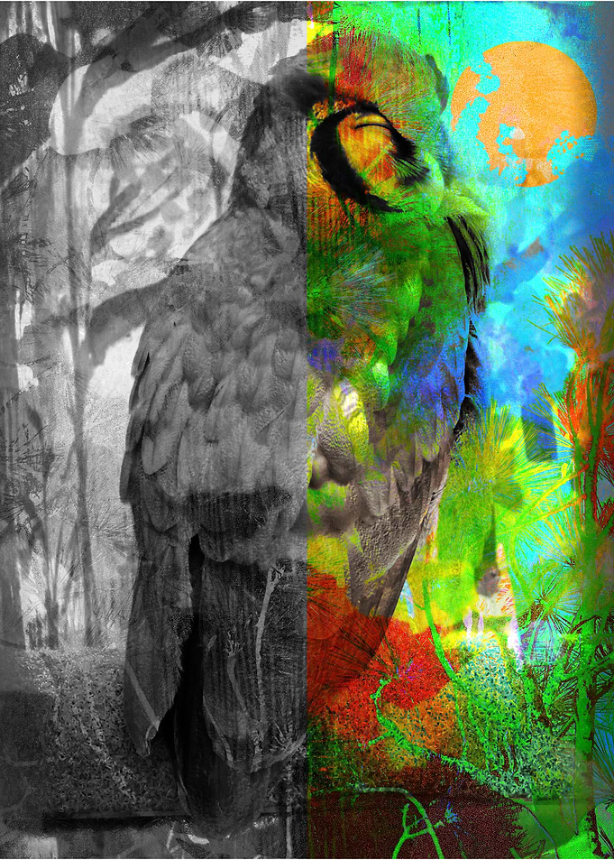 Day and Night