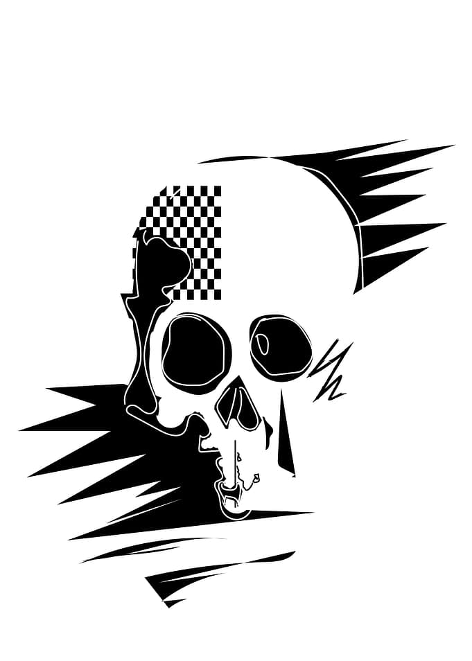 Skull with Checkered Pattern and Splatters