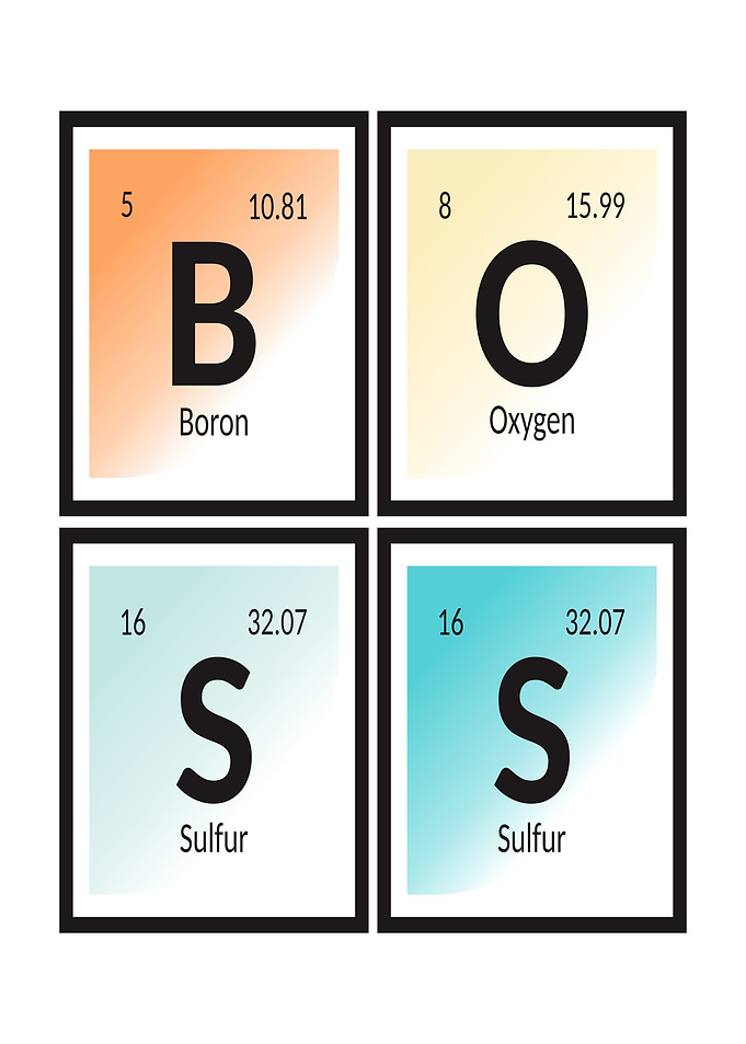 Boss Periodic Table Elements Art