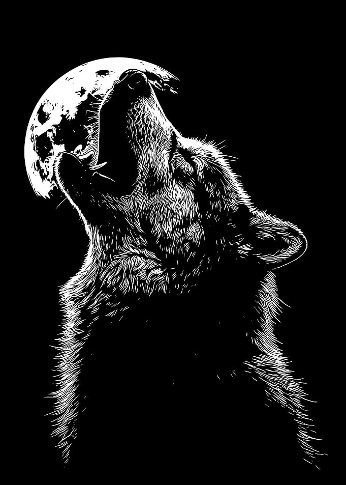 Wolf Howling at the Moon Illustration