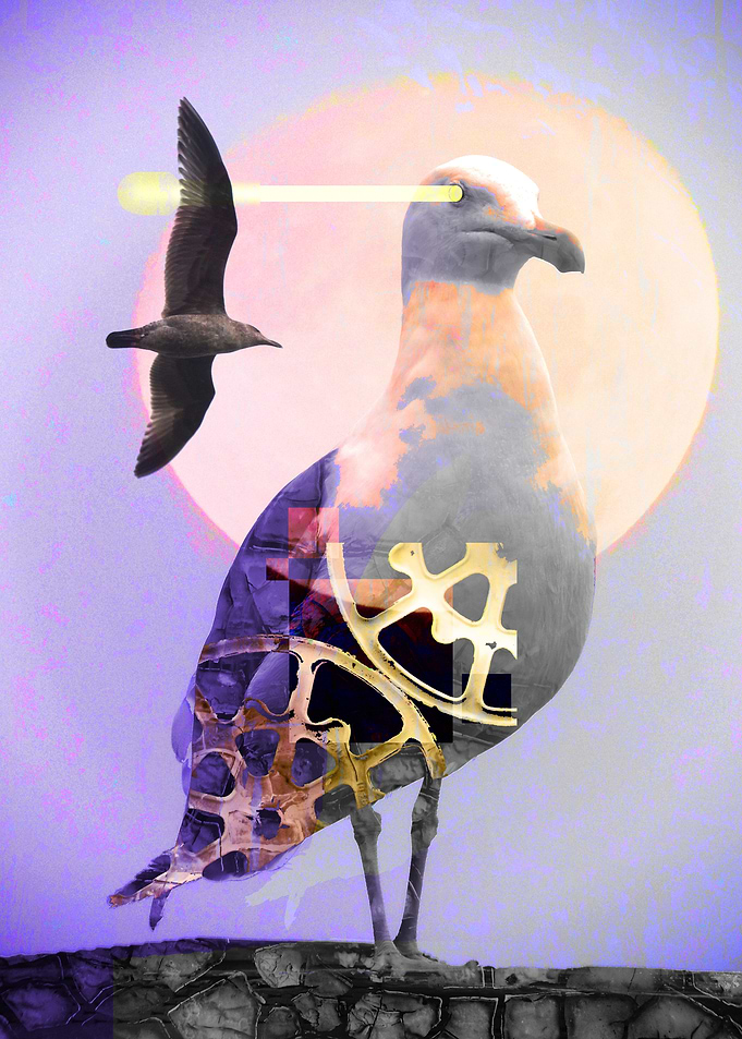 Modern Seagull