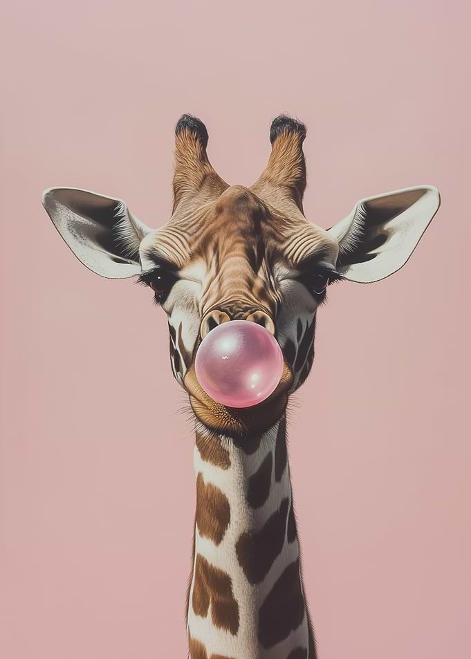 Giraffe blowing pink bubble gum
