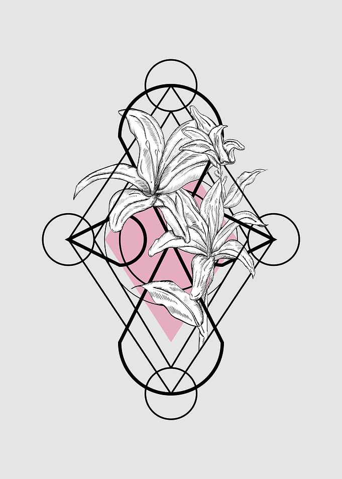 Pink lily geometric space