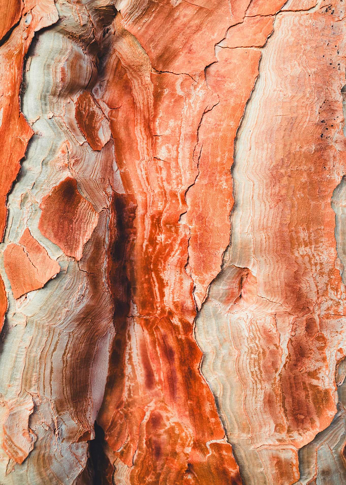 Textured Orange and White Rock Formation