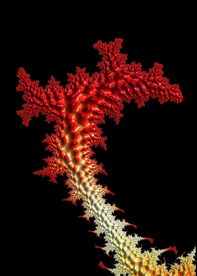Fractal Red and Yellow Branch