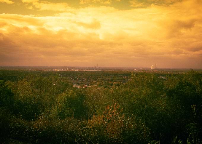 Golden Hour Overlooking Forest and City