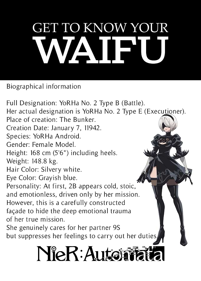 Nier: Automata 2B Waifu Information Sheet