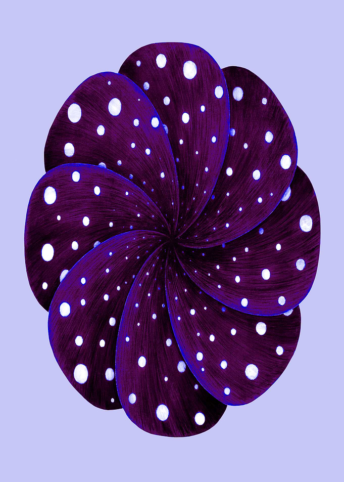 Colour Vision (Vetical - Violet Wine)