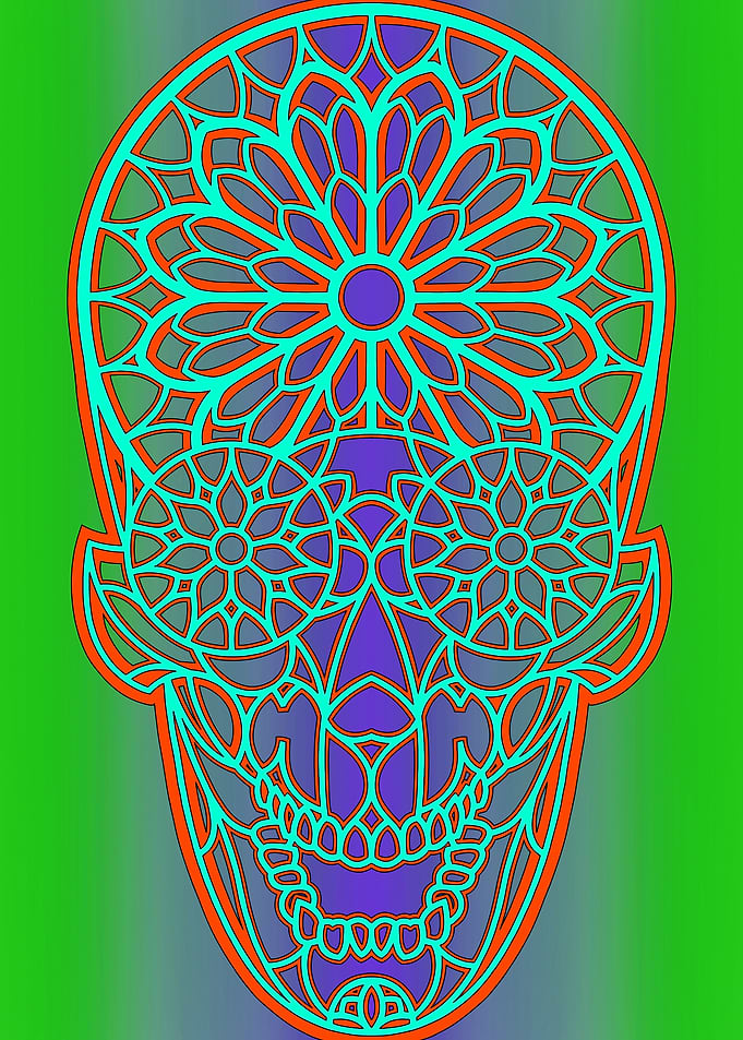 Floral Skull Art