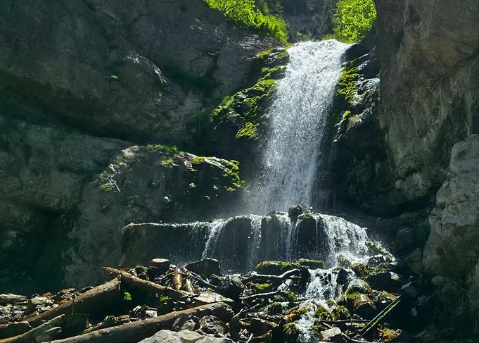 Waterfall cascading over rocks and logs, Utah
