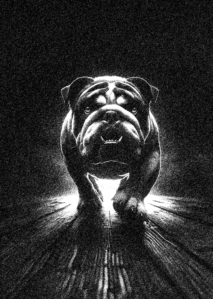 Monochrome Bulldog Portrait