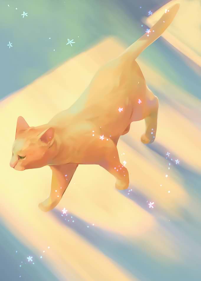 Orange Cat Walking with Starry Trail