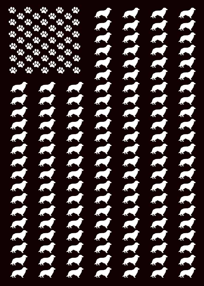 American Flag with Australian Sheppard and Paw Prints