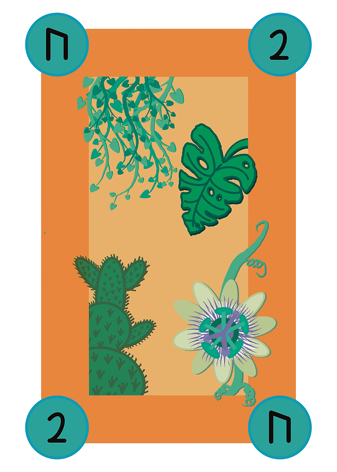 Botanical Illustration Card
