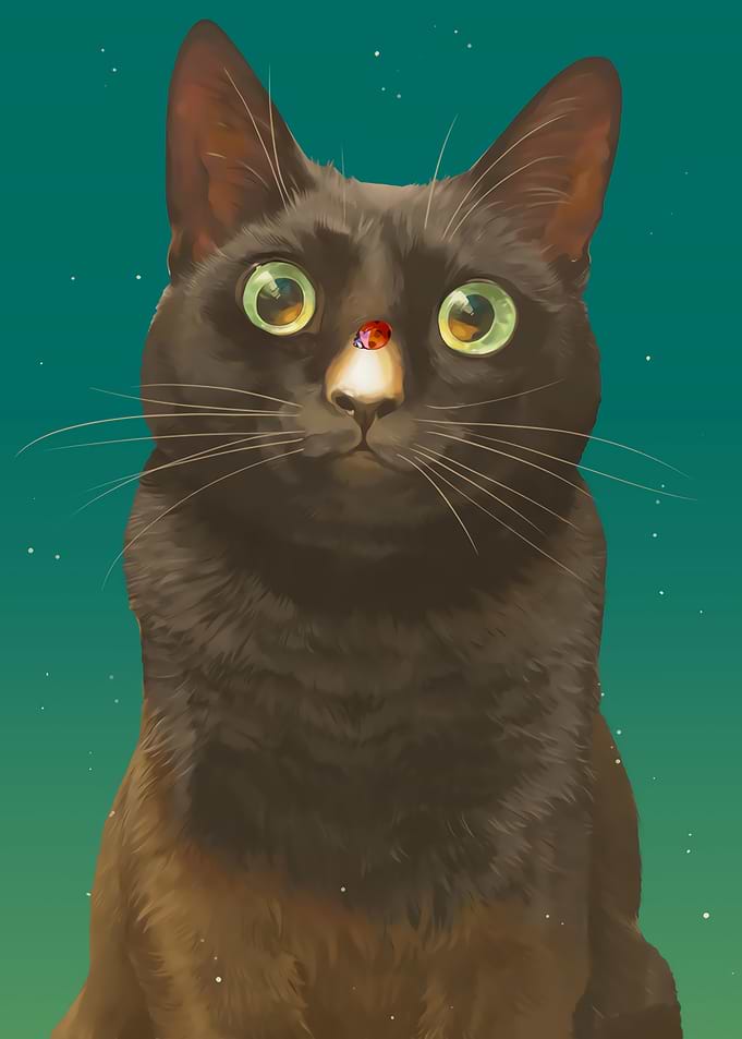 Cat with Ladybug on Nose