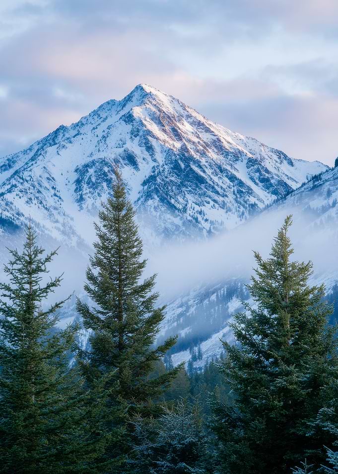 Snowy Mountain Peak with Trees Nature