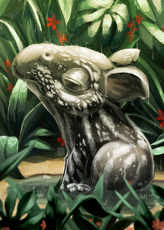 Baby Tapir in the Rain