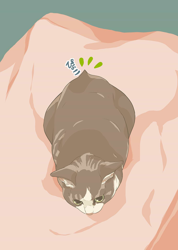 Cat on Pink Blanket