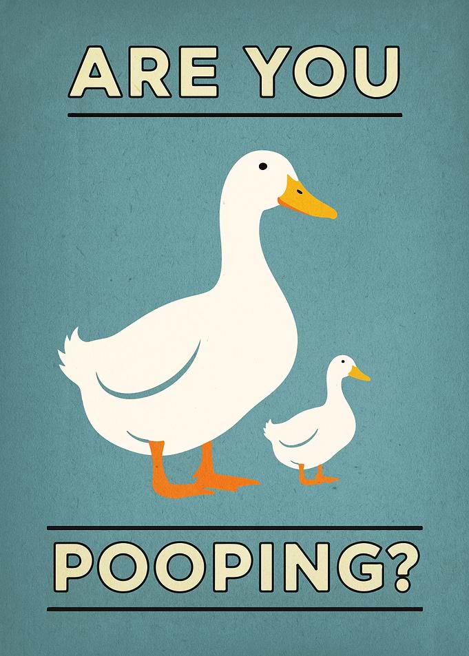 Are You Pooping? Duck Art