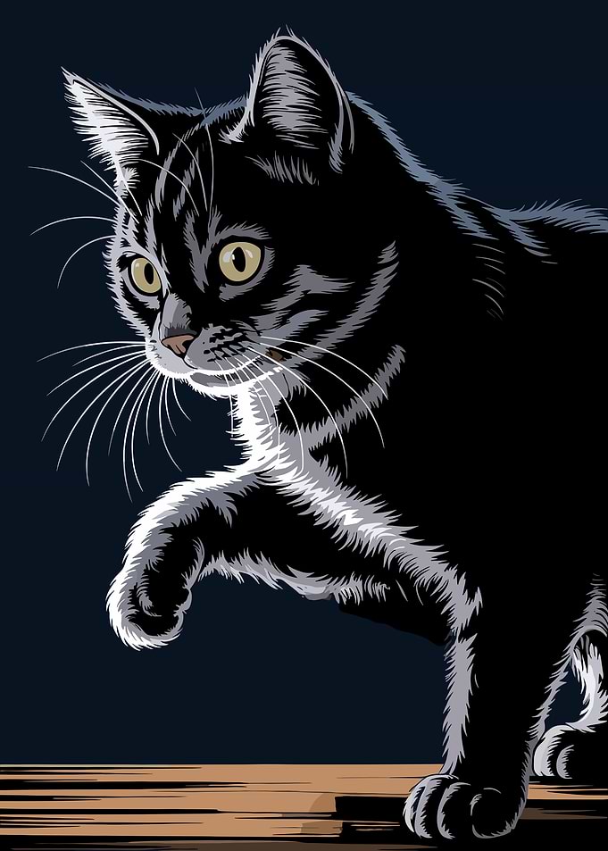 Stylized Black Cat Illustration