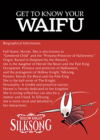 Hollow Knight Silksong Hornet Waifu Guide