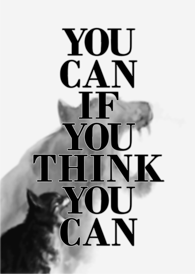 You can if you think you can