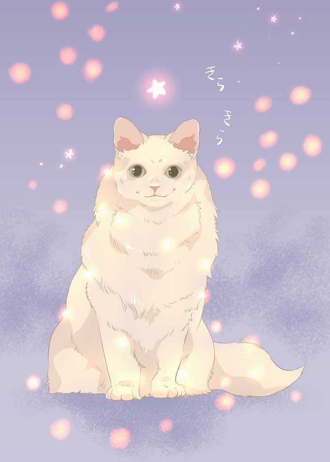 Cute Cat with Stars Illustration