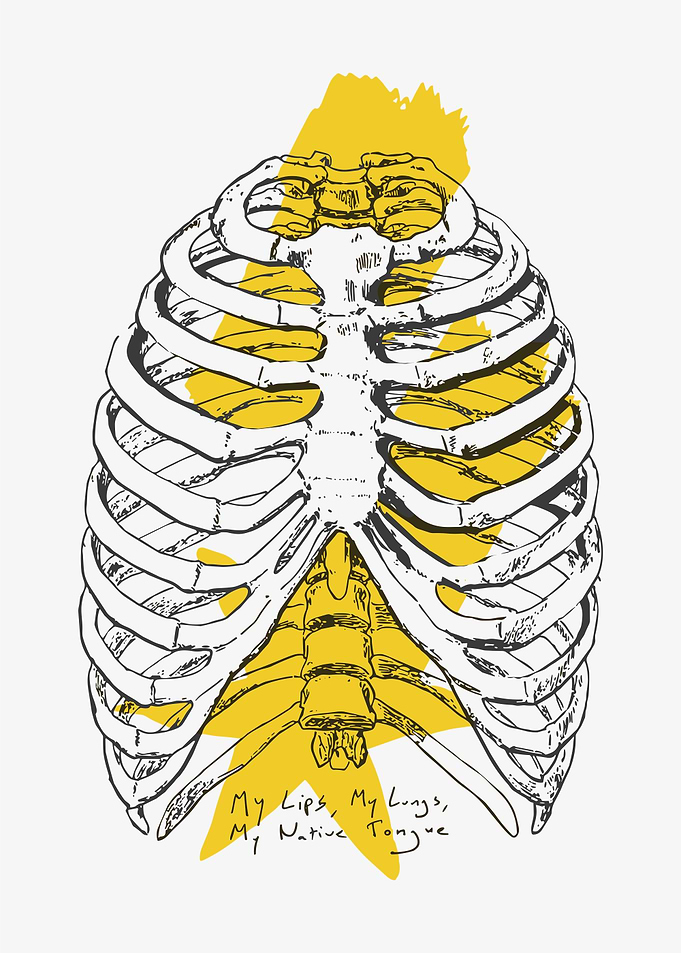 Ribcage Anatomy with Yellow Star