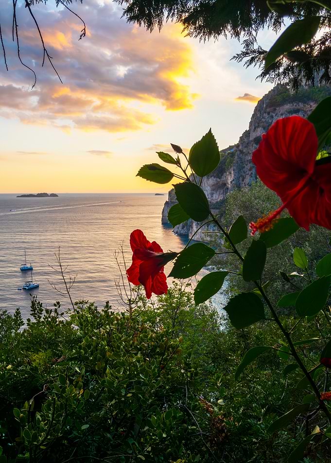 Positano XXIX