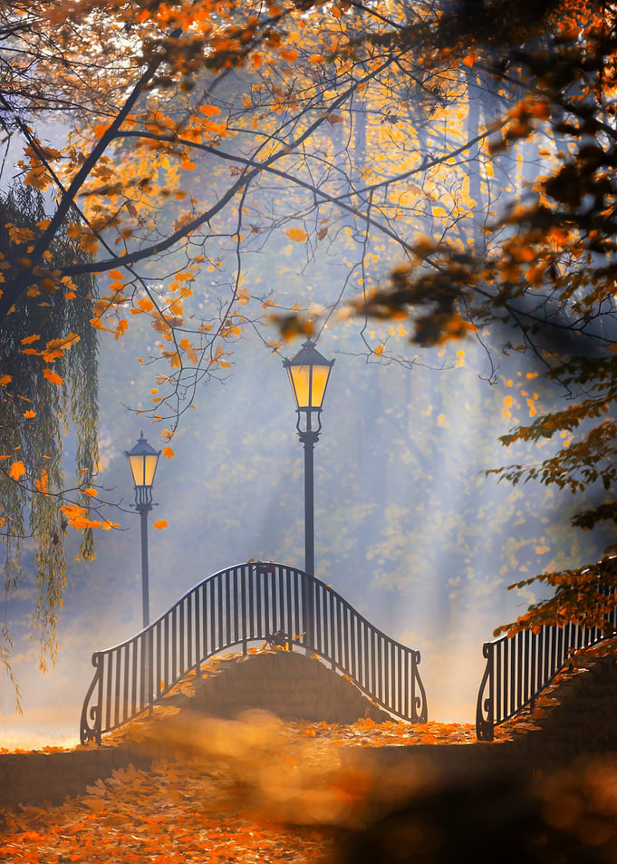 Autumn Bridge with Glowing Lanterns
