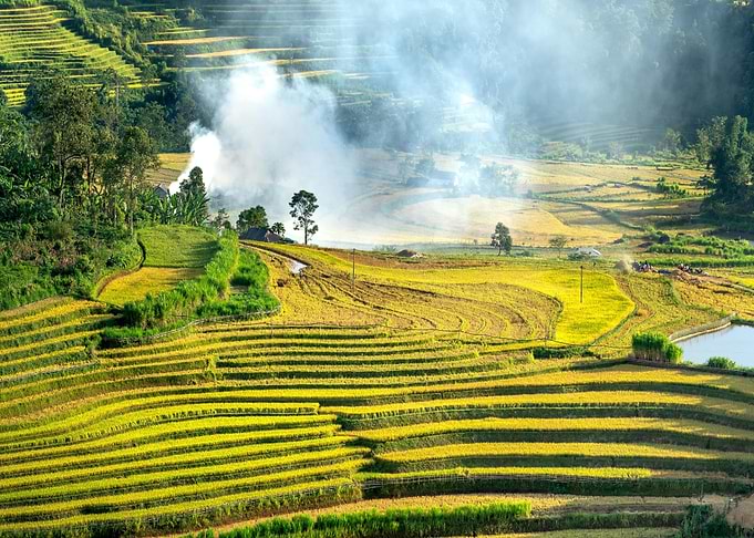 Terraced Rice Fields in Asia