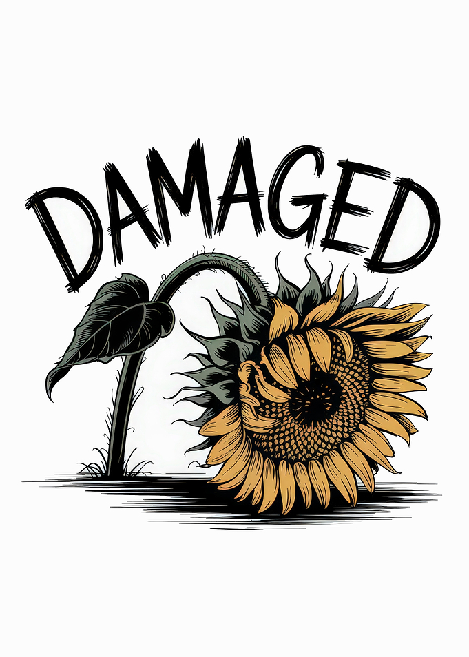 Damaged Sunflower