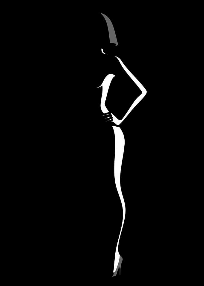 Elegant Woman Silhouette in Black and White